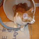 ���� ����, ���������, 24 ���� - ��������� 28 ������ 2012 � ������ ��������)�