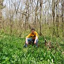 ���� �����, ����������� ����, 37 ��� - ��������� 12 ����� 2012 � ������ ���� ����������