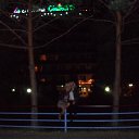 ���� ��������, ������, 57 ��� - ��������� 31 ��� 2010