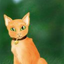 ���� Sirin, ���, 30 ��� - ��������� 14 �������� 2011 � ������ �PetLove�
