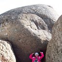 &quot;   &quot;   ߻