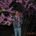 ���� �����, ���������, 42 ���� - ��������� 11 �������� 2011