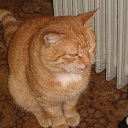 ���� ����, �������, 64 ���� - ��������� 19 ��� 2012 � ������ ���� ����������