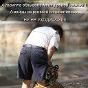  , -, 54  -  12  2010   