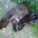 ���� �������, �����-���������, 61 ��� - ��������� 22 ���� 2010 � ������ ���� �����