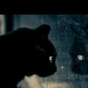   ( - !), , 59  -  4  2012    