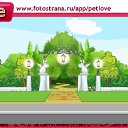  , , 41  -  10  2011   PetLove