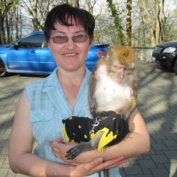 �������, �����, 61 ���