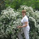 ���� �����, �����-���������, 68 ��� - ��������� 22 ������ 2012