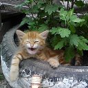 ���� ����������, ������� - ��������� 4 ������ 2013 � ������ ���� ����������