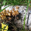 ���� ���������, ���������, 59 ��� - ��������� 28 ���� 2011 � ������ ��������