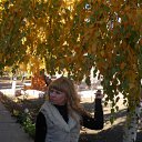  ,  -  15  2012     2012))