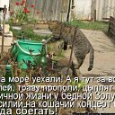 ���� ������, �������, 40 ��� - ��������� 13 ������� 2009 � ������ ����������� ��������, ������� ����������