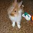 ���� Katze Scheugu, ������� - ��������� 27 ������ 2010