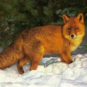 ���� ���������, �����, 81 ��� - ��������� 8 ������� 2011 � ������ ���� ����������