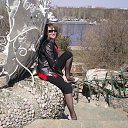 ���� ���������, ��������, 43 ���� - ��������� 23 ������ 2013 � ������ ���� ����������