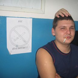 �����, �������, 39 ���