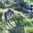 ���� �������, �������, 38 ��� - ��������� 11 ��� 2010 � ������ ���� ����� ����� �������