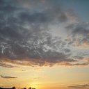  , --, 55  -  16  2010   