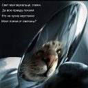 ���� Gnom, ���������, 39 ��� - ��������� 28 ������ 2010 � ������ �������� � ��������� ;-)�