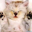 ���� ����. ��������� �� ��!, ������, 72 ���� - ��������� 28 ����� 2011 � ������ �������� ����