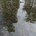 ���� �����, ������ - ��������� 28 ���� 2013 � ������ ���� ����������