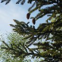 ���� �������*, �������, 59 ��� - ��������� 10 ������� 2011 � ������ ����������� ���� ���..))�