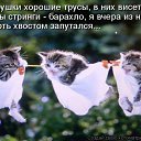  Lika,  -  3  2010      2 :))