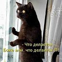 ���� ����������, ����������, 58 ��� - ��������� 20 ������ 2012 � ������ �������