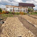  ,  -  13  2011   RoadKing