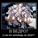 ���� ����, ����, 50 ��� - ��������� 17 ������ 2010 � ������ �������