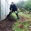  ,  , 42  -  11  2011    2011