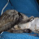 ���� �����, ������������, 50 ��� - ��������� 5 ������ 2010 � ������ �����