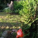 ���� Yiwangna***, ������ - ��������� 21 ��� 2012 � ������ ���������� ����� �������...�