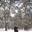 ���� �������, ��������, 65 ��� - ��������� 24 ���� 2013 � ������ ���� ����������