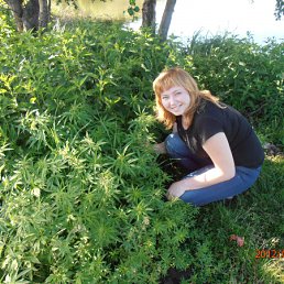 ����, 39 ���, ������