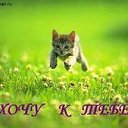 ���� Bashka, ��������, 46 ��� - ��������� 28 ������� 2011