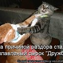 ���� �����, �����-���������, 26 ��� - ��������� 2 ������� 2011 � ������ ������