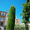 ���� Robert, ���-���������, 64 ���� - ��������� 12 ��� 2011 � ������ �Saint Tropez / France�