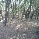 ���� �������, ����, 42 ���� - ��������� 24 ������� 2010 � ������ �������