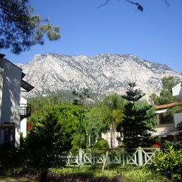 ���� ����, ������� ��������, 25 ��� - ��������� 16 ������ 2010