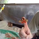  Drdemon, , 47  -  4  2011    