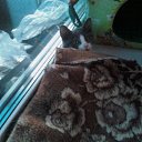  , -, 61  -  26  2011   