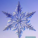 ���� �������, ������, 41 ��� - ��������� 9 ������� 2009 � ������ ���������