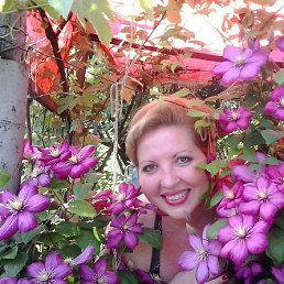 ���������, ���������, 50 ���