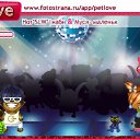  , , 43  -  21  2011   PetLove