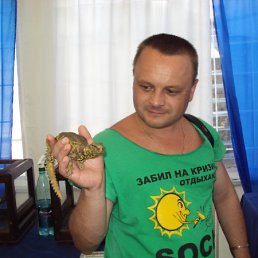 ���� ������, ��������, 44 ���� - ��������� 17 ��� 2011