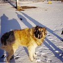  , - -  30  2012   ɻ