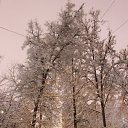 ���� ������, ������, 47 ��� - ��������� 4 ������� 2013 � ������ �������� ������