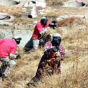 ���� ��������, �������, 36 ��� - ��������� 8 ������� 2012